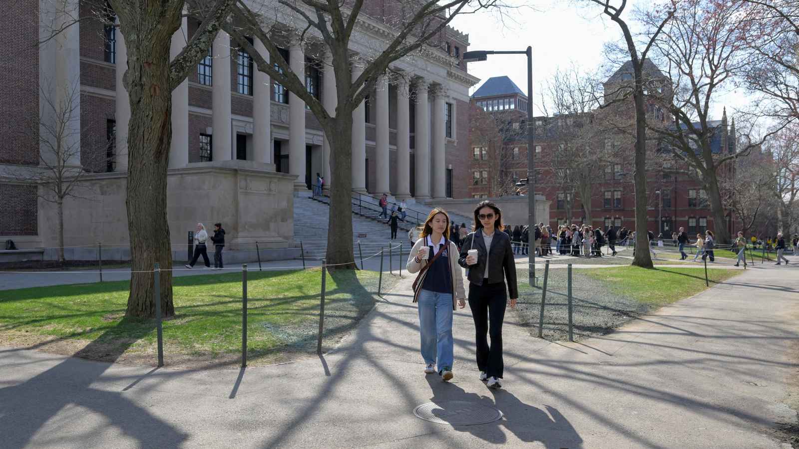 مع اتهامات ترامب.. العلاقات القوية بالصين "تورط" جامعة هارفارد