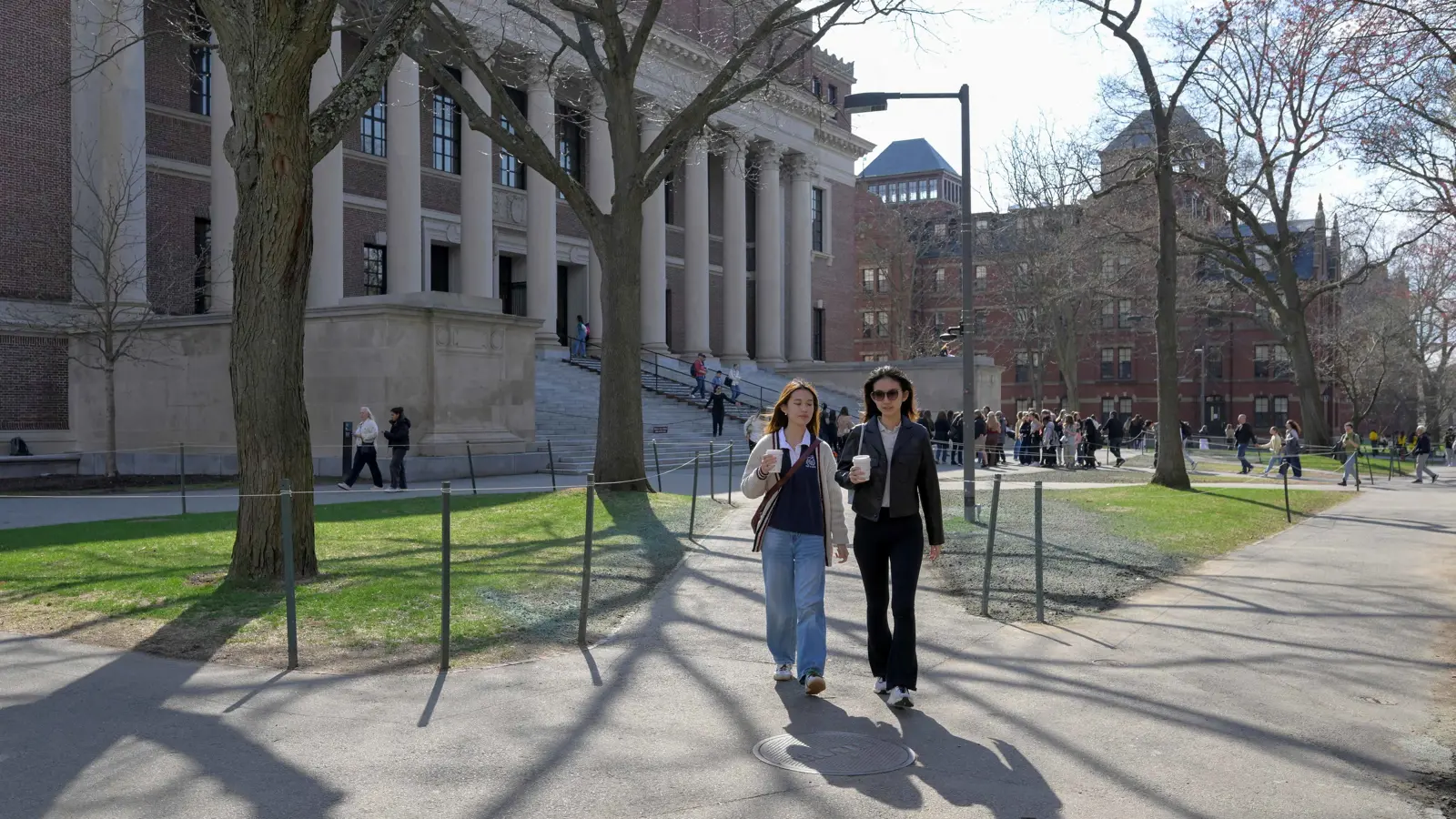 مع اتهامات ترامب.. العلاقات القوية بالصين "تورط" جامعة هارفارد