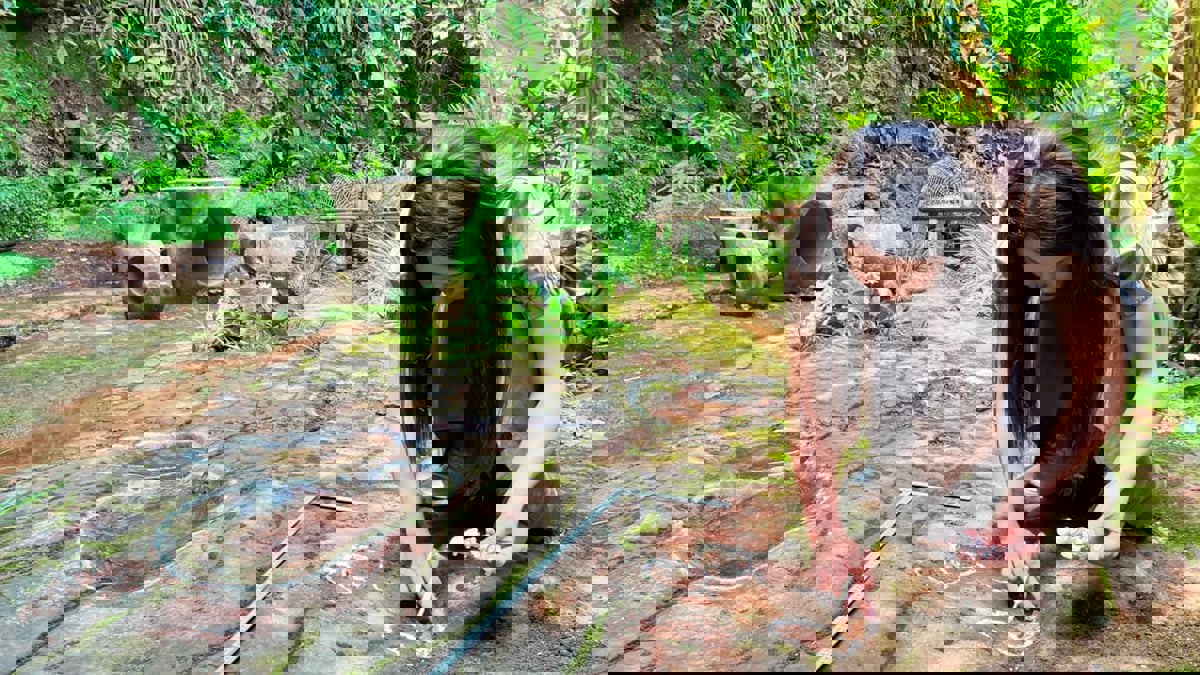 عمرها 100 مليون سنة.. اكتشاف آثار أقدام ديناصورات في مطعم صيني