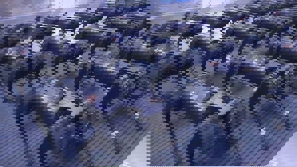 شركة صينية تنشر مقطعا لجيش مرعب من الروبوتات (فيديو وصور)