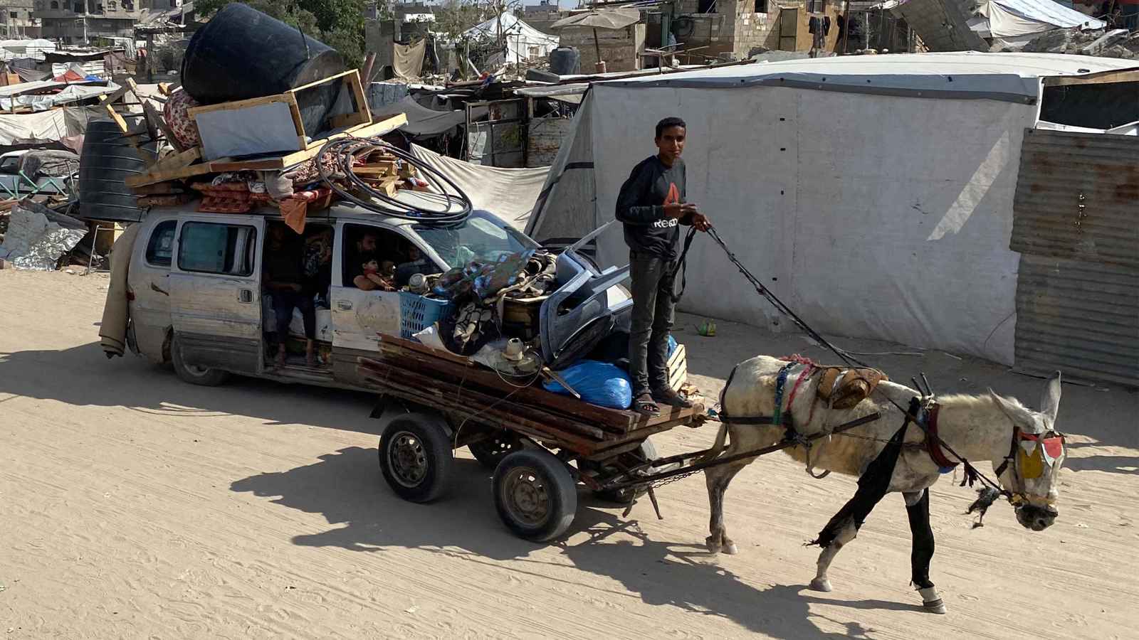 الجيش الإسرائيلي يسرق الحمير من غزة ويصدرها للخارج.. ما القصة؟