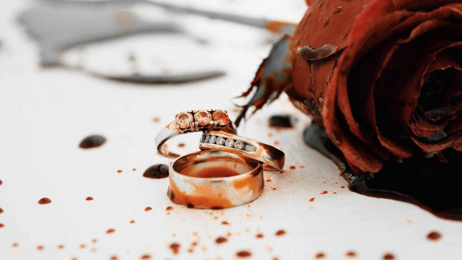 أوقعت 4 قتلى.. مذبحة في حفل زفاف مصري