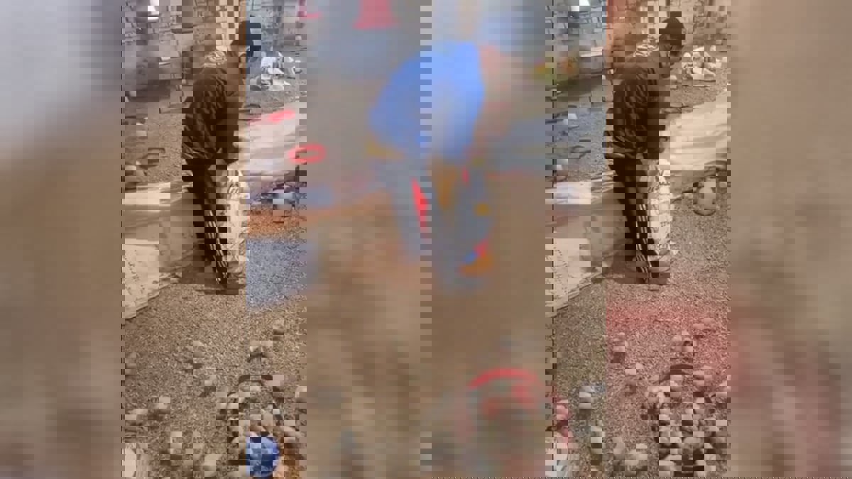 فيديوهات صادمة لإعدام "الكتاكيت" تثير الجدل في مصر