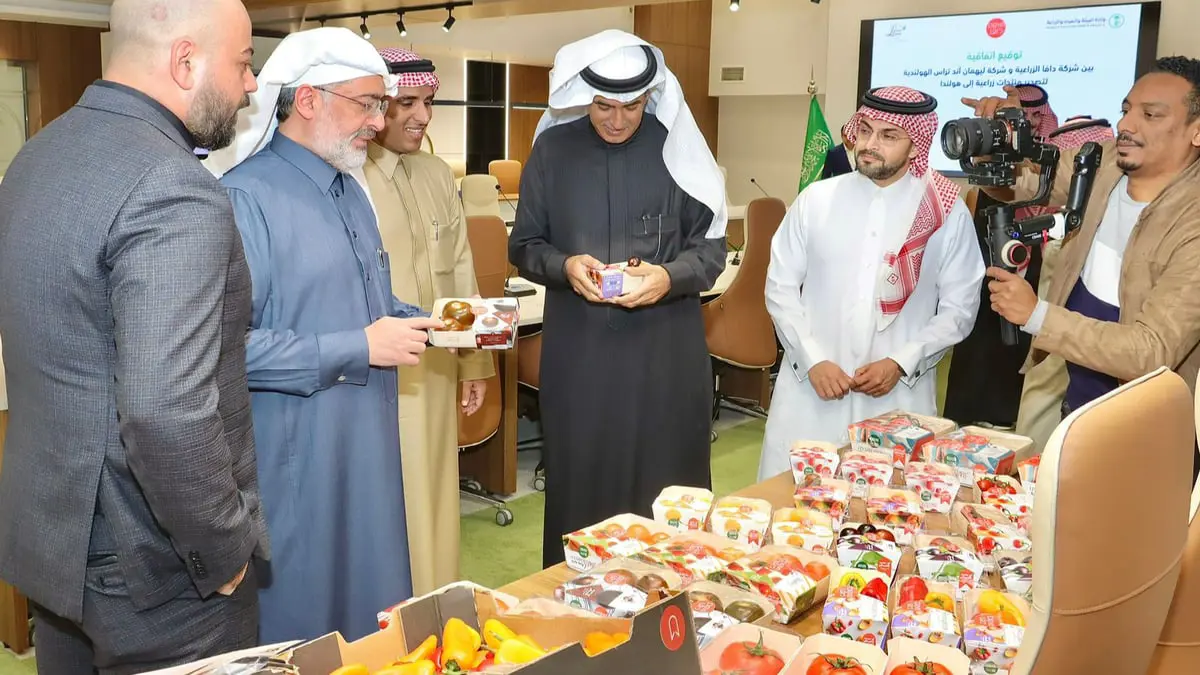 لأول مرة.. السعودية تصدّر الخضار إلى هولندا (صور)
