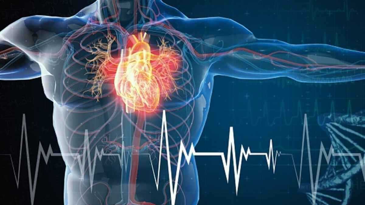 4 عادات تنقذ حياتك.. خبير يكشف وصفة لتجنب النوبات القلبية القاتلة