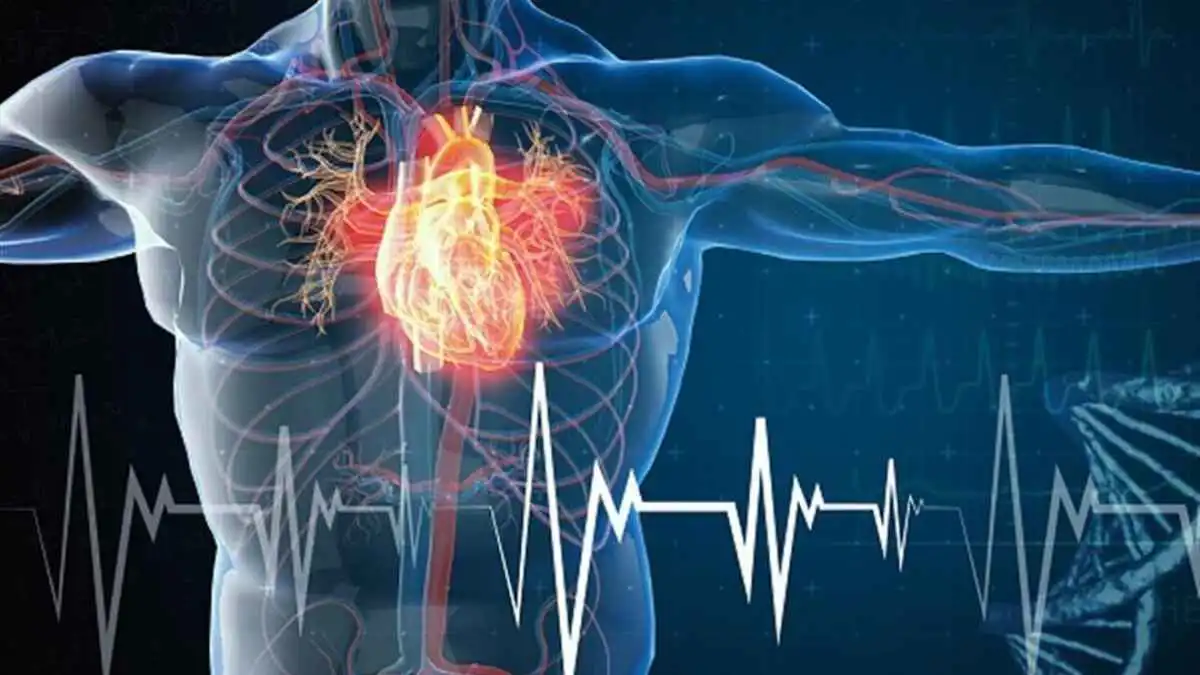 4 عادات تنقذ حياتك.. خبير يكشف وصفة لتجنب النوبات القلبية القاتلة