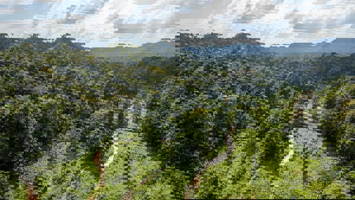 تعرف على غرائب الحياة البرية في الغابات البريطانية (صور)