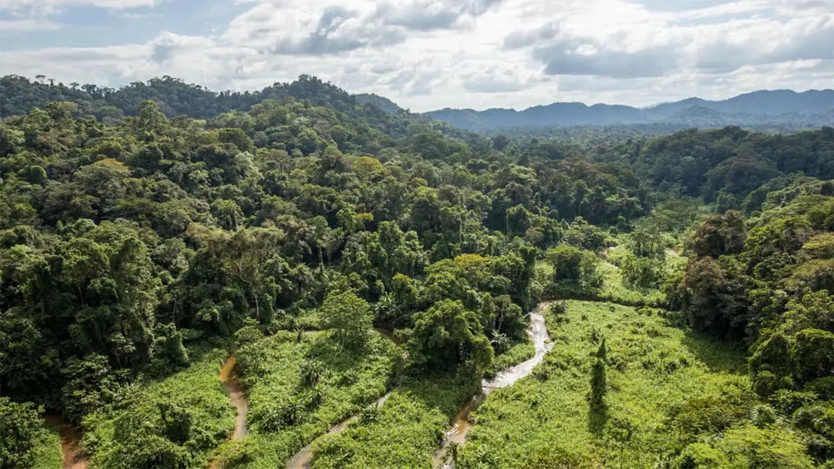تعرف على غرائب الحياة البرية في الغابات البريطانية (صور)