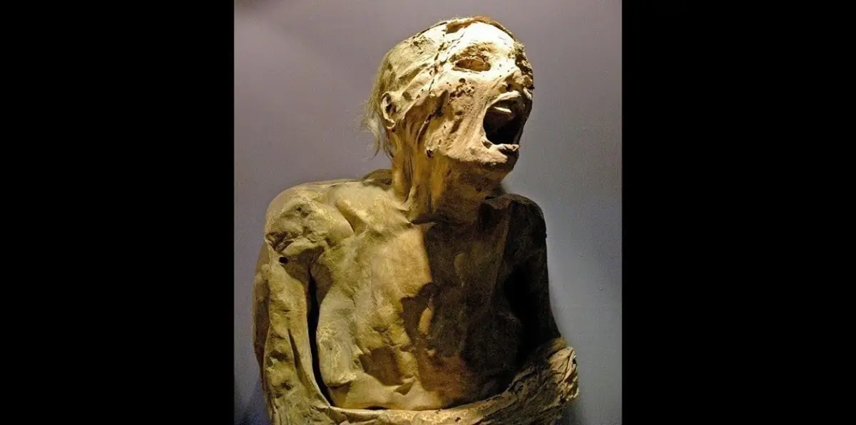 "المومياء الصارخة" تعرض في المتحف المصري بالقاهرة