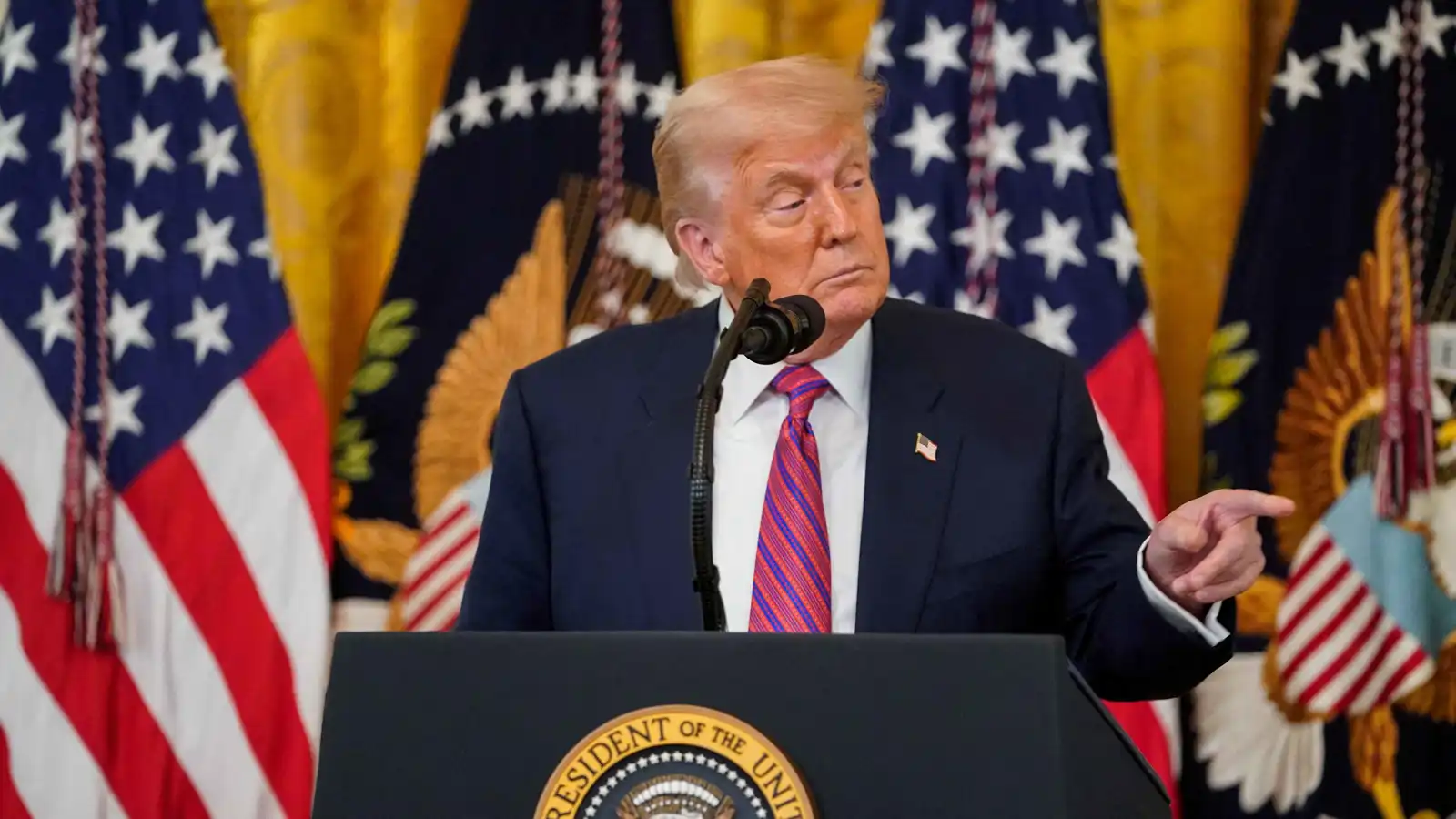 قاضية أمريكية تمنع ترامب مؤقتاً من إنهاء الحماية عن 1100 صومالي