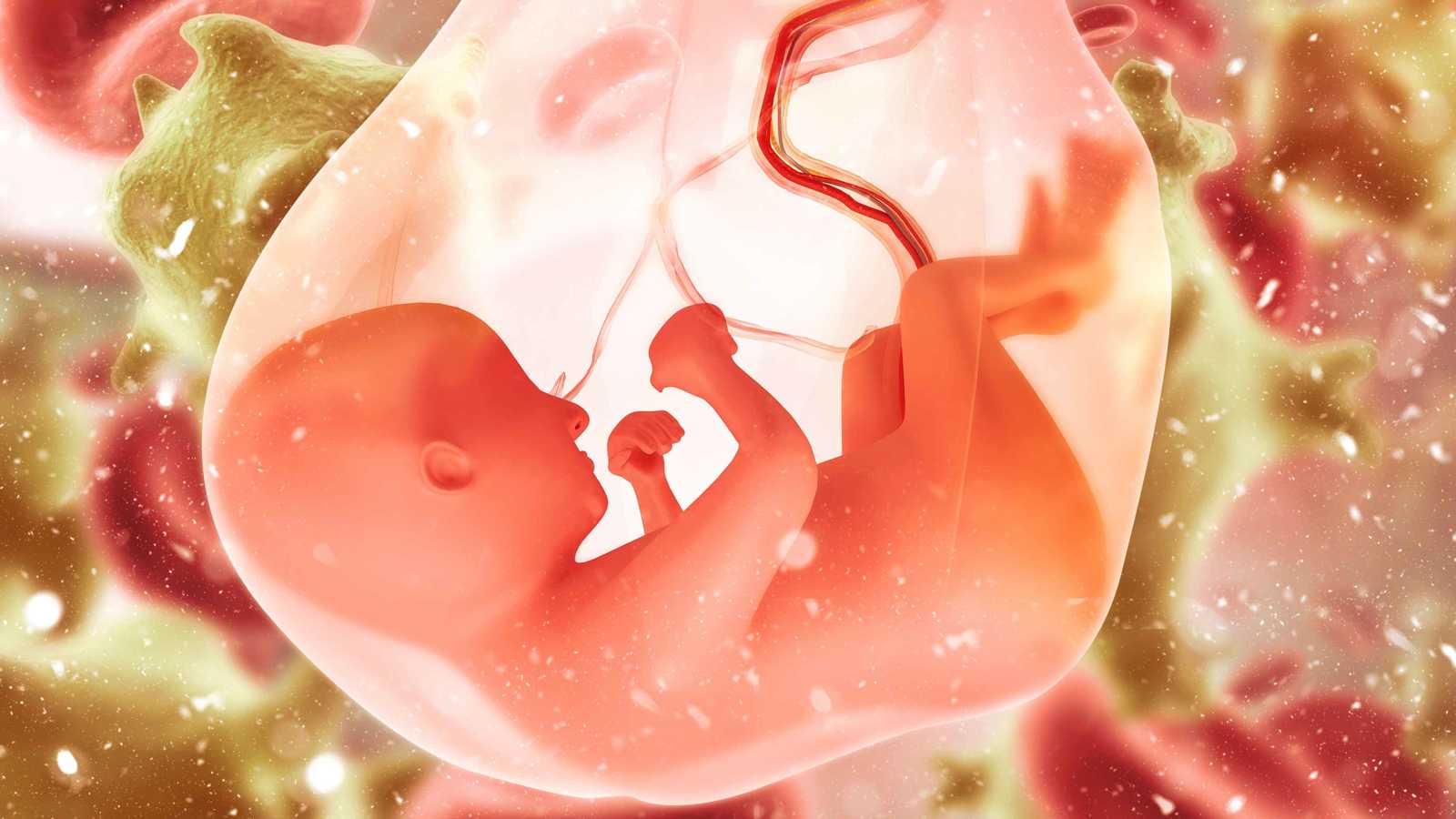 كبسولات المشيمة.. بين الترند والحقائق العلمية