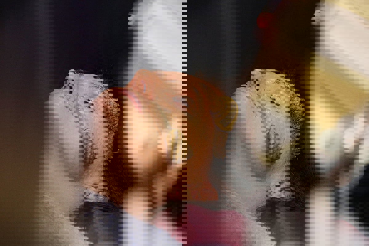 "التدليك بالحلزونات".. حيلة غريبة للعناية بالبشرة 