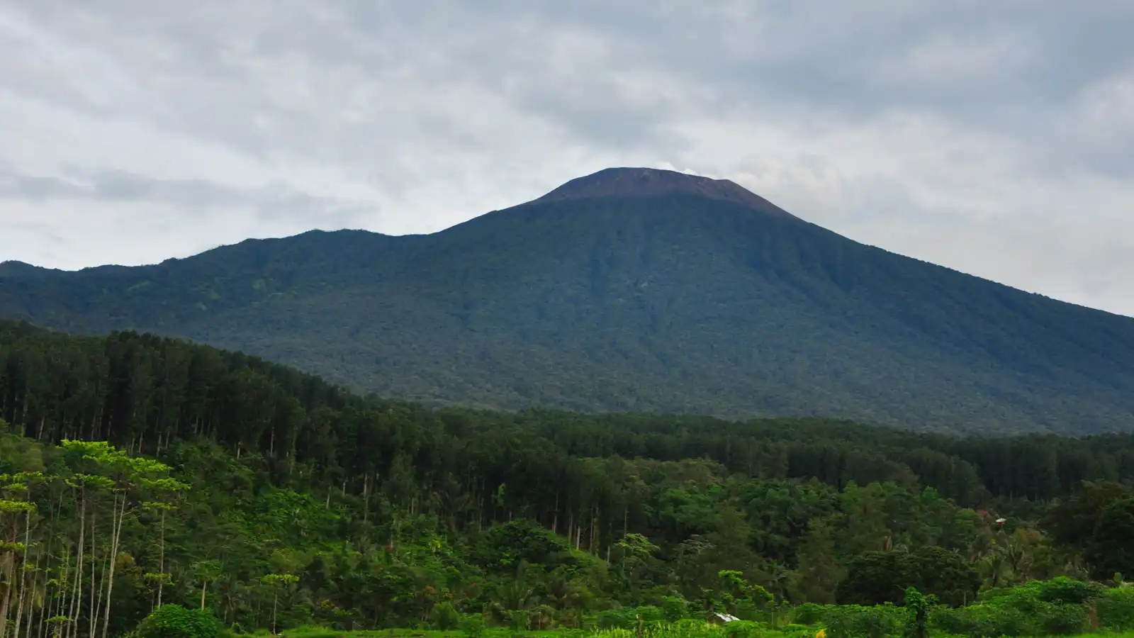 بعد أسبوعين من فقده.. العثور على جثة متسلق جبال إندونيسي