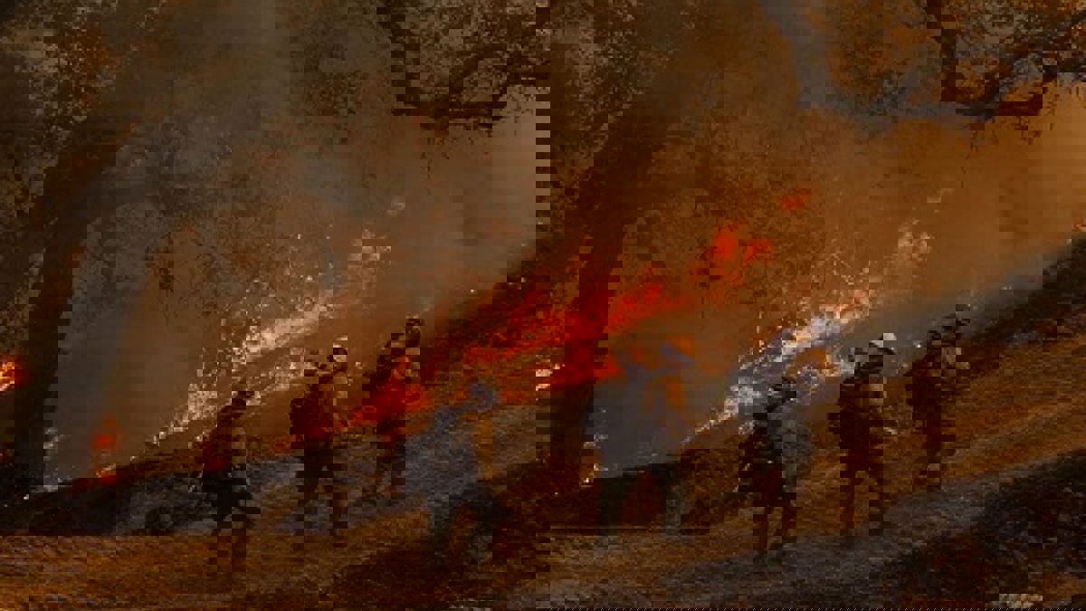 مصرع 3 أشخاص  بحرائق هائلة بمرتفعات محافظة فارس في إيران (فيديو)