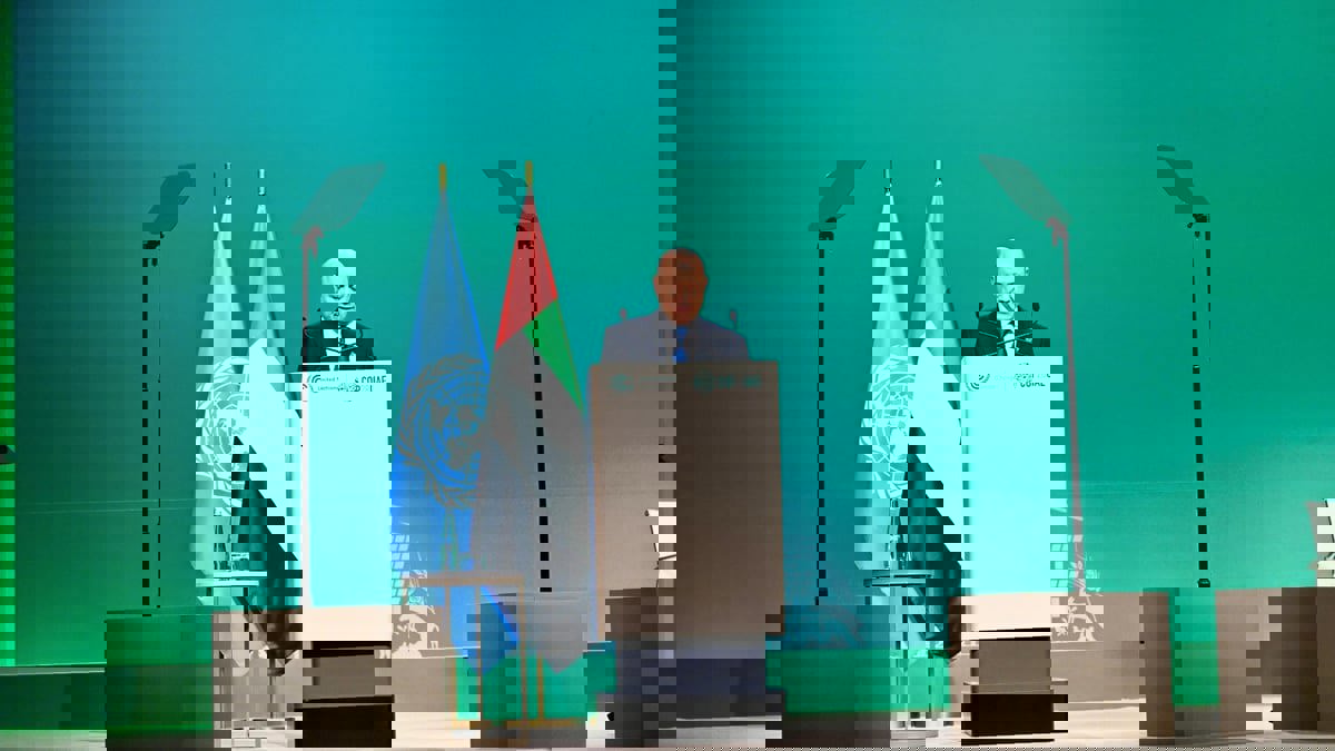 العليمي: اليمن من أقل الدول قدرة على مواجهة آثار تغير المناخ