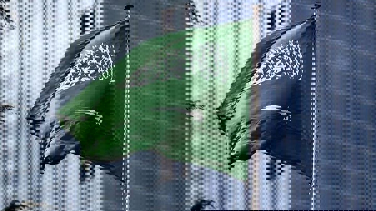 صندوق الاستثمارات السعودي يشتري أسهما في ألفابت وزوم ومايكروسوفت