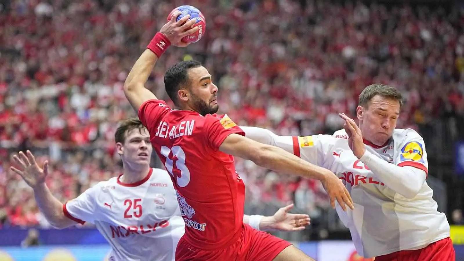 منتخب تونس يخسر أمام سويسرا ببطولة العالم لكرة اليد