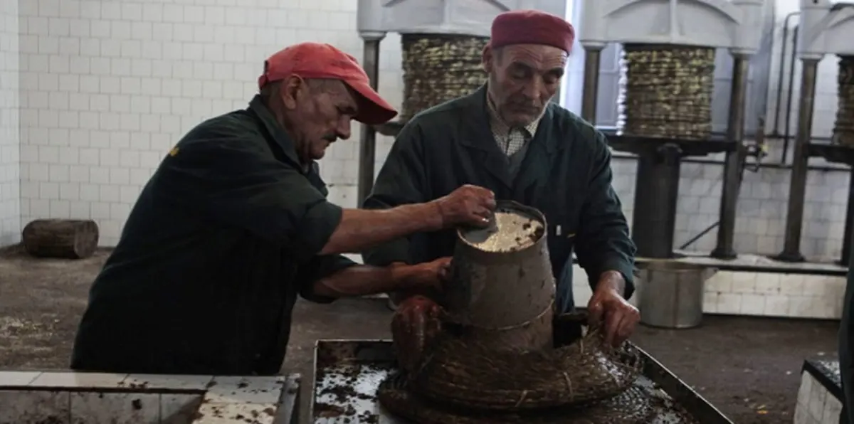 تونس ترفع أجور 1.5 مليون عامل بالقطاع الخاص‎