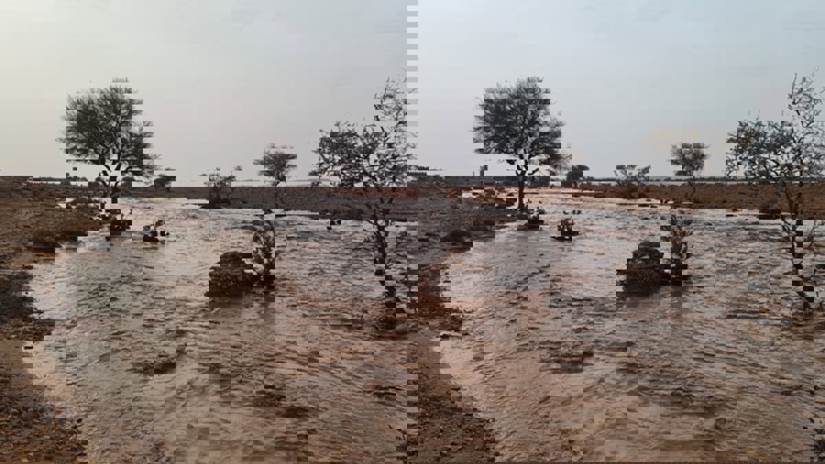 صدفة تقود سعوديا للشهرة بعد لقاء عابر بعائلة ألمانية