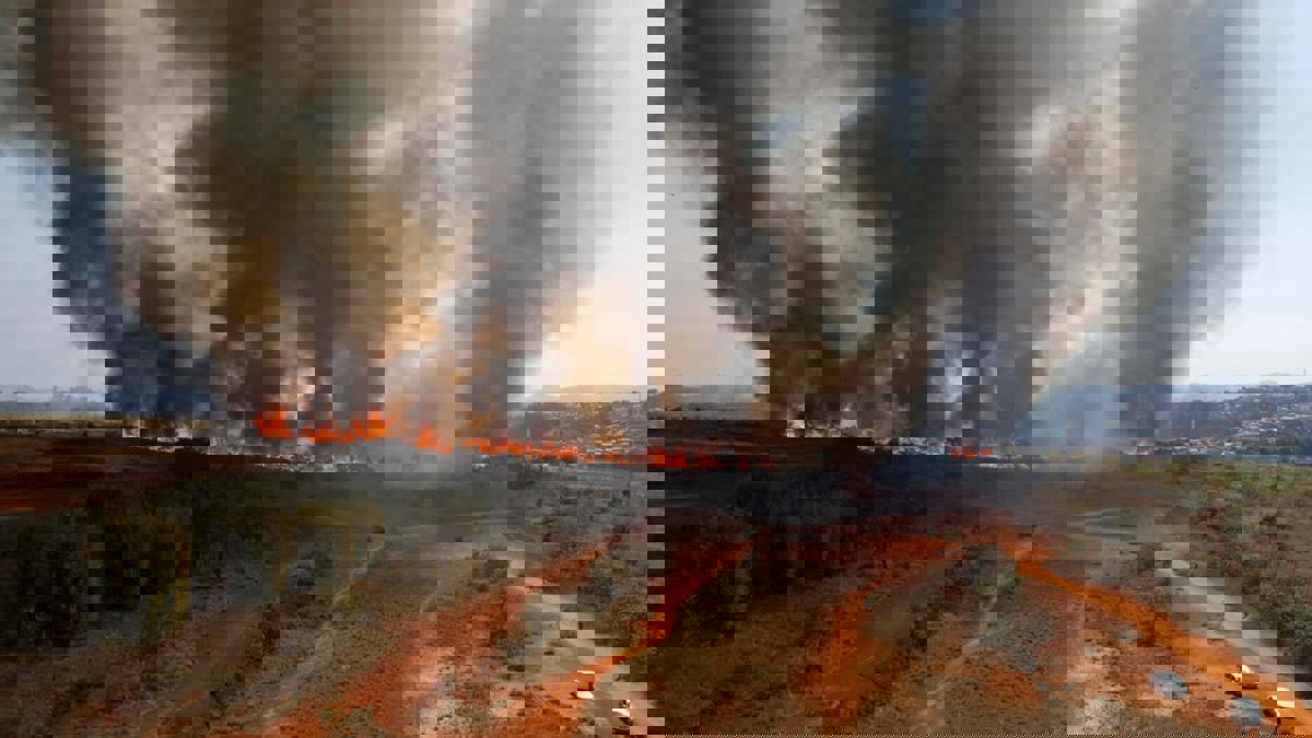 احتراق محمية طبيعية في البرازيل بسبب منطاد