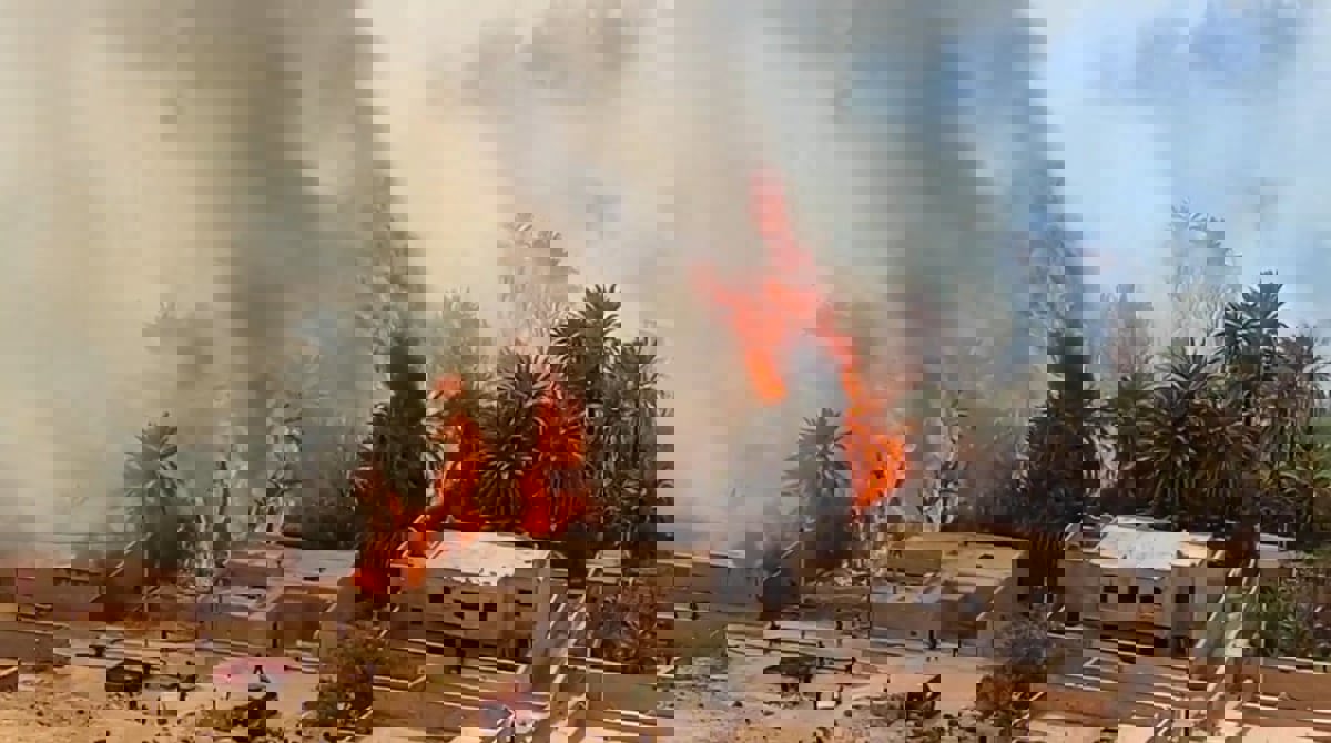 حريق هائل في أكبر واحة مغربية ومطالبات بتدخل الجيش (فيديو)