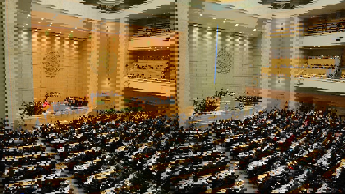 "الصحة العالمية" تعتمد لأول مرة مشروعا إماراتيا لتعزيز جودة الحياة