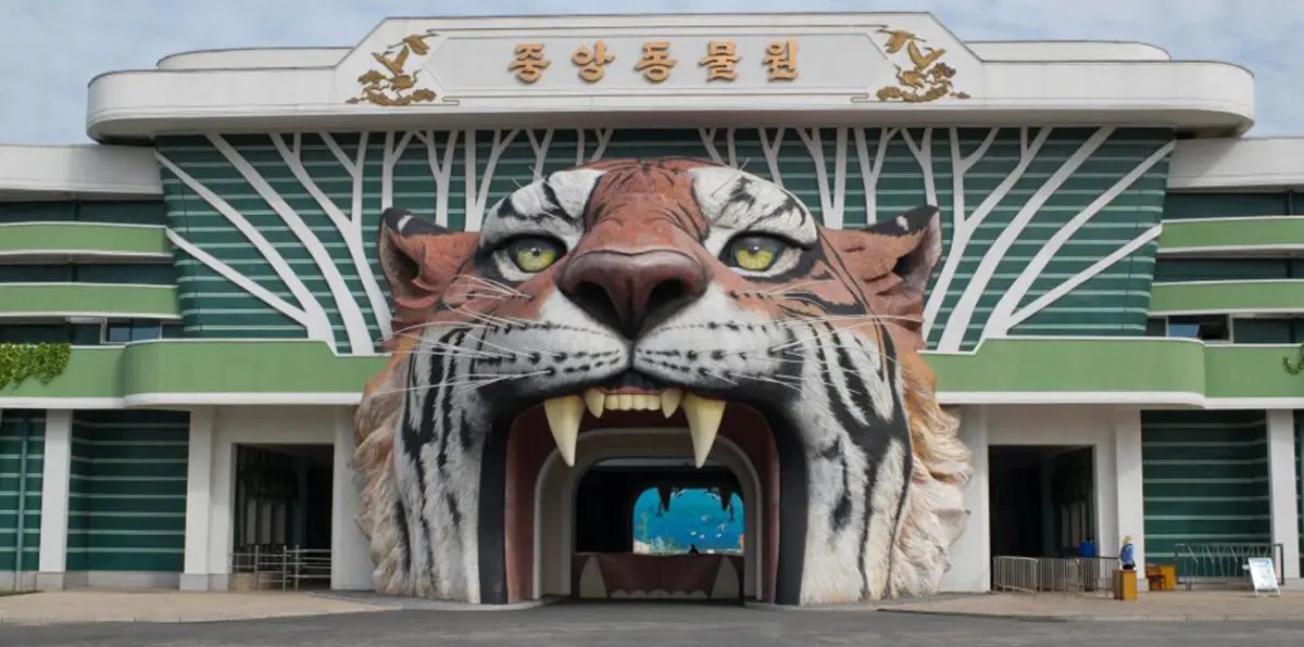 تعتبر الأسوأ في العالم.. شاهد من الداخل حديقة الحيوانات بكوريا الشمالية (صور)