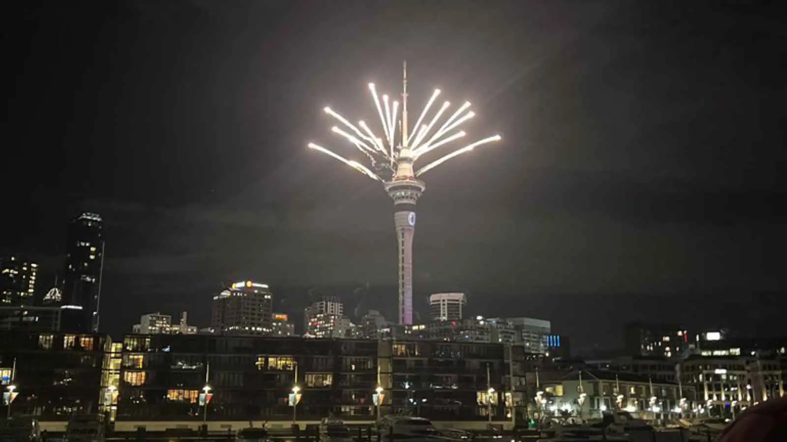 نيوزيلندا تستقبل عام 2025 (فيديو)