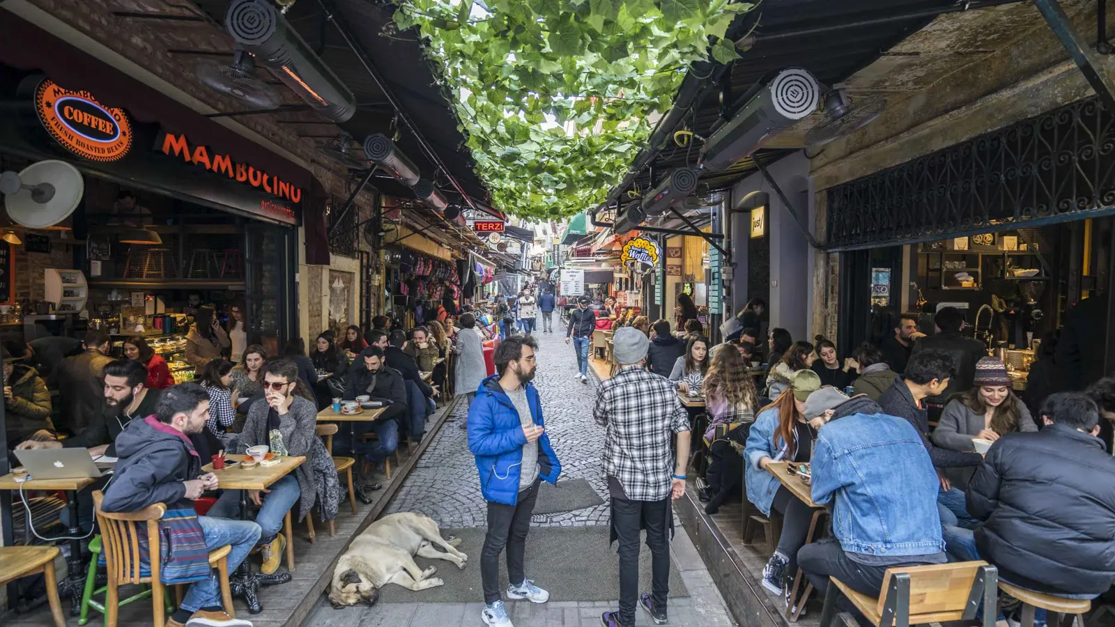 مقتل شاب إثر مشاجرة مع امرأتين في إسطنبول (فيديو)