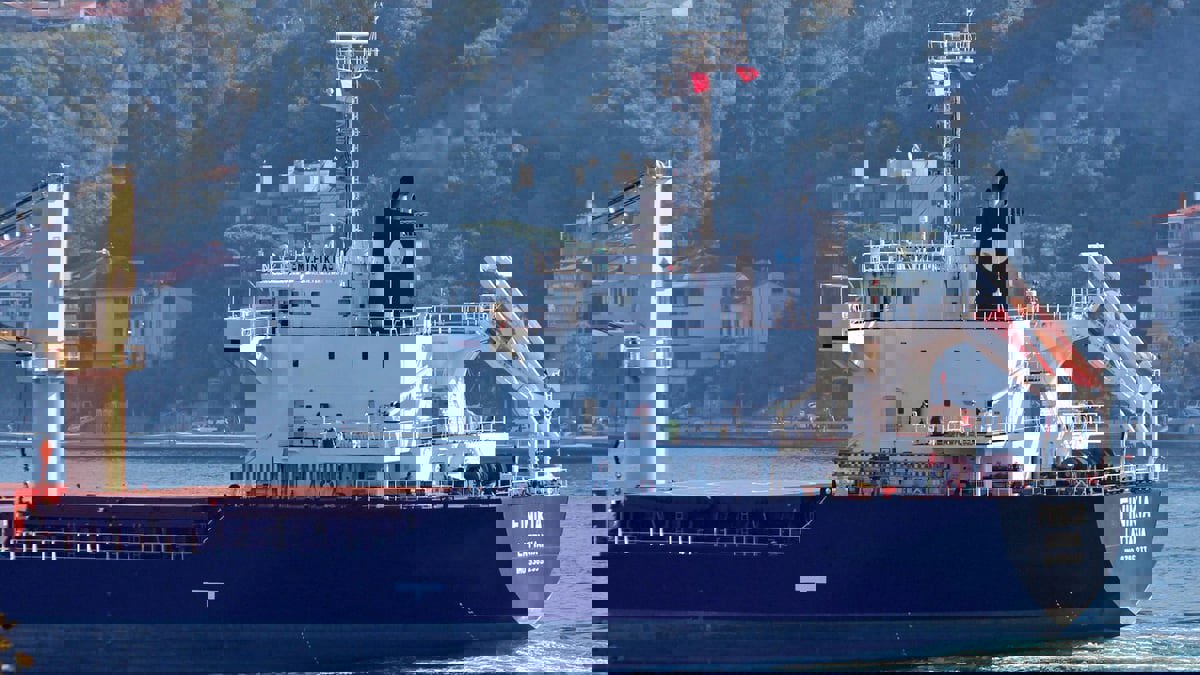 كييف تطلب من تركيا التحقيق بشأن 3 سفن روسية أخرى بزعم نقل حبوب مسروقة