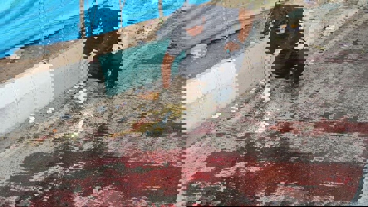 نائب رئيس البرلمان الإيراني يتهم إسرائيل بالضلوع بتفجيرات كرمان