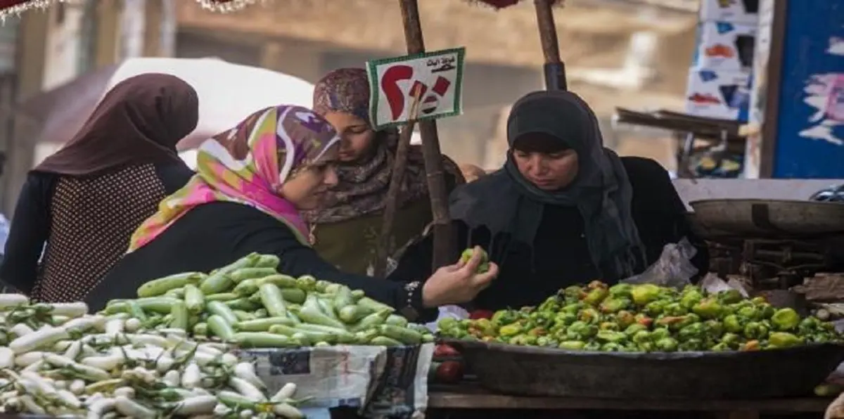 الحكومة المصرية تلجأ لتقليل حلقات الوسطاء لخفض الأسعار وتحجيم السرقات
