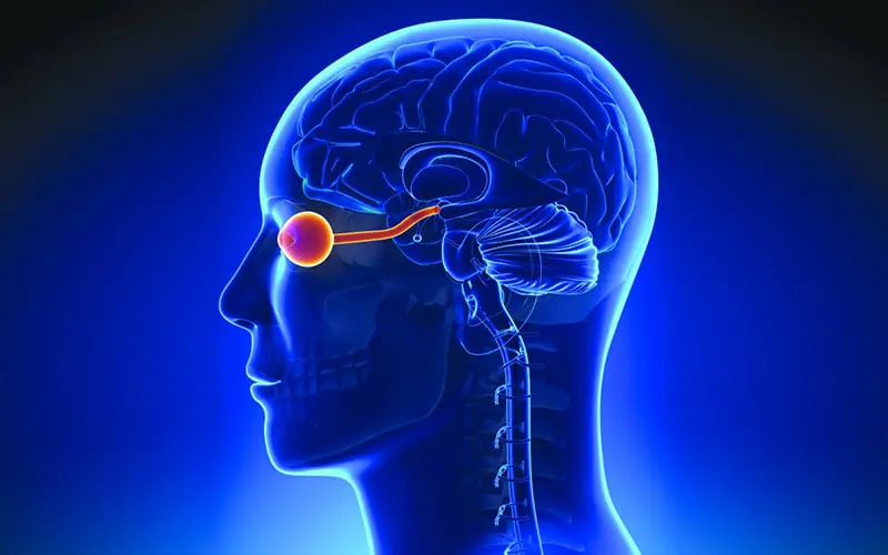 نتائج واعدة لتقنية جديدة لعلاج الجلوكوما