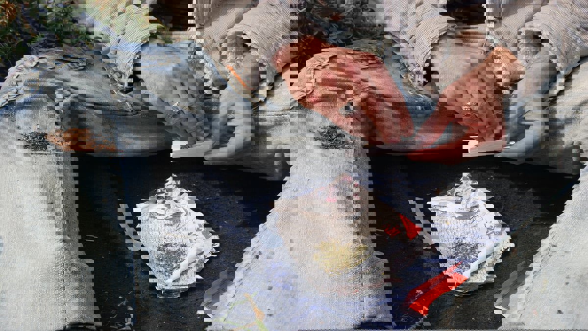 تاجر مخدرات مصري يفاجئ زوجته بطلب صادم وهذا ما فعلته