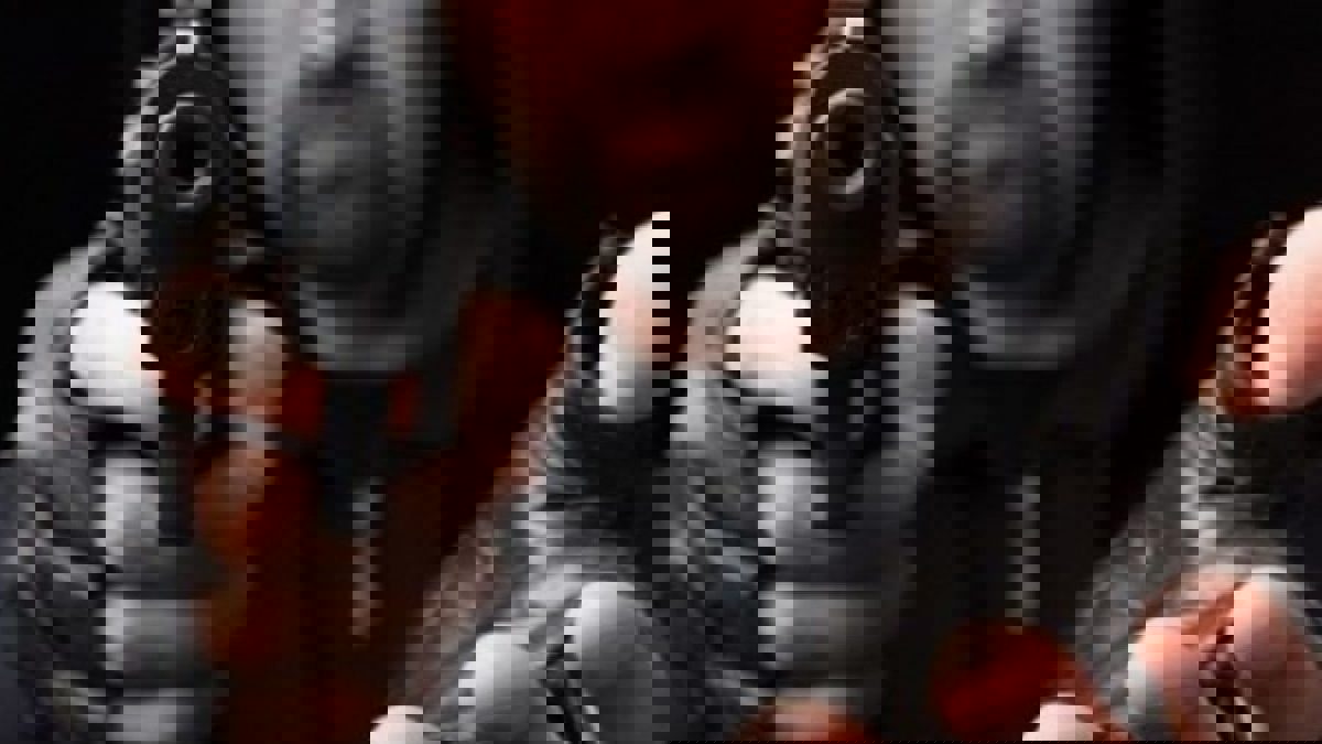 سطو مسلح على سيارة نقل أموال في الكويت