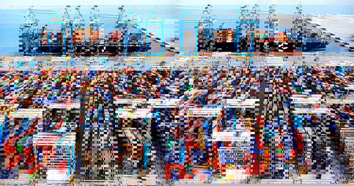 "موانئ أبوظبي" تستحوذ على حصص أغلبية في "ترانسمار وترانسكارجو" المصريتين