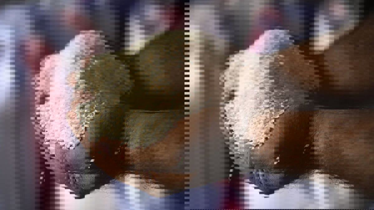 مصر.. "أزمة الأرز" تنتظر حلولا بعد إلغاء التسعيرة