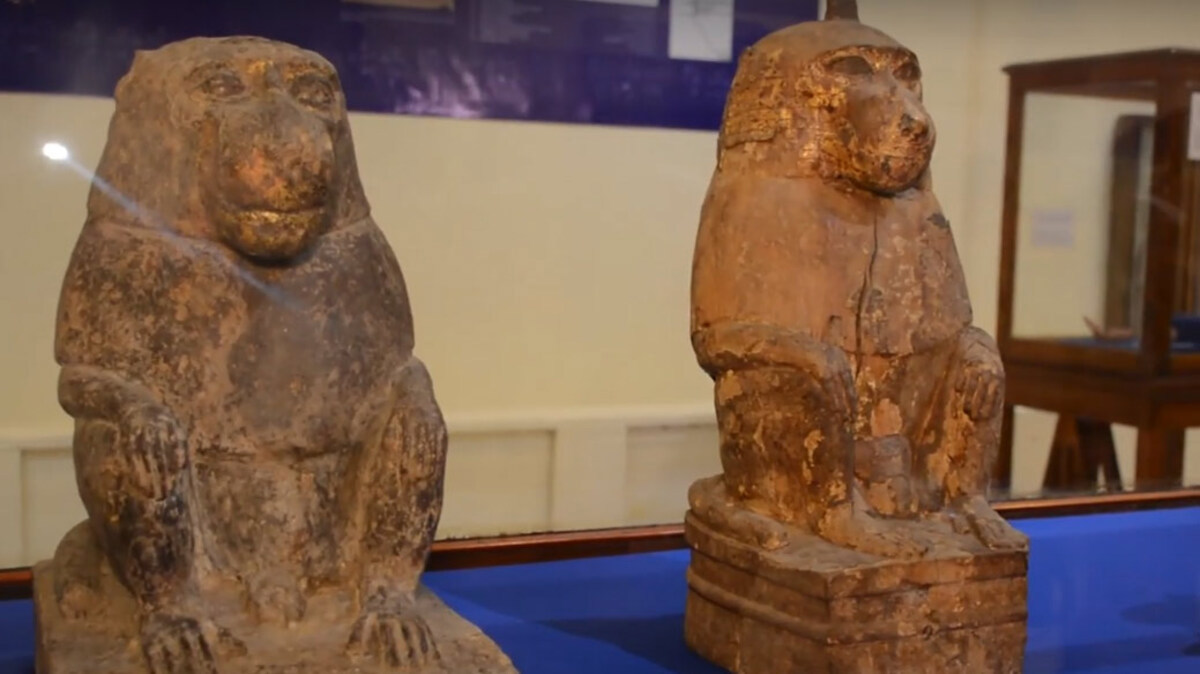 تونة الجبل.. مصر تحتفي بأعرق منطقة آثار للحيوانات المحنطة (فيديو)