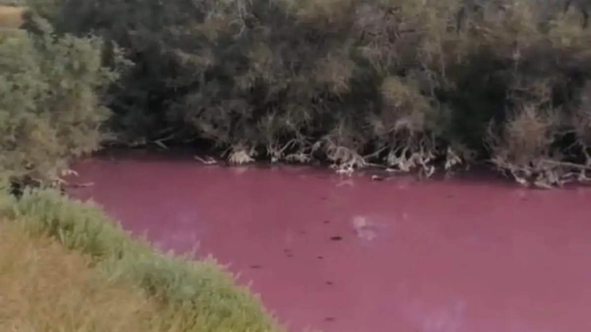 ظاهرة نادرة.. مياه بركة إسبانية تتحول إلى اللون الوردي