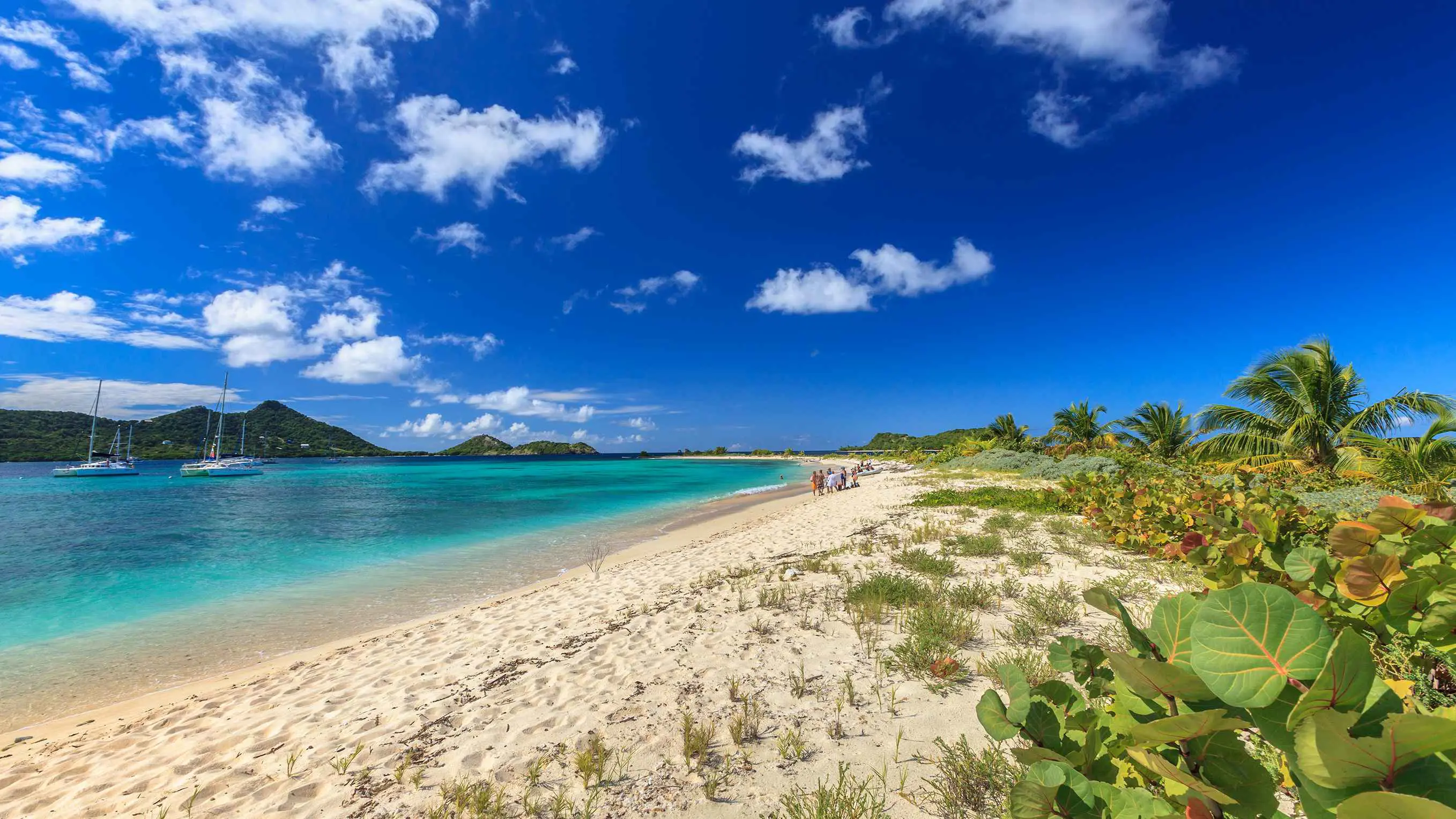 بريطانيا تشهد أحد أكبر الحوادث من نوعها في الأعوام الأخيرة