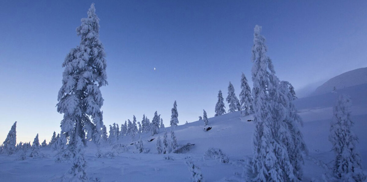 بالصور.. شاهد كيف يعيش الناس في المدينة الأكثر برودة بالعالم