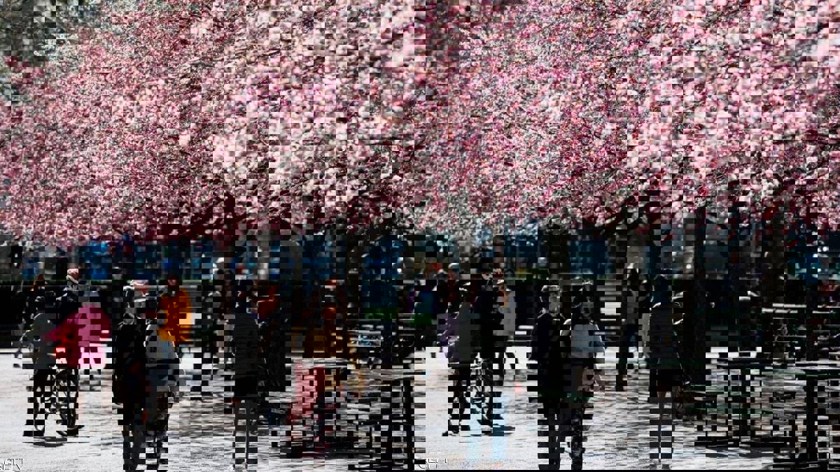 كيف أصبحت السويد نموذجا فريدا في محاربة "كورونا" باستخدام "مناعة القطيع"؟