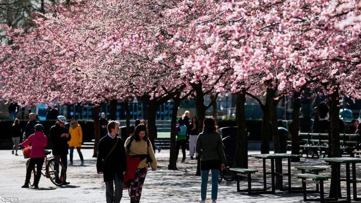 كيف أصبحت السويد نموذجا فريدا في محاربة "كورونا" باستخدام "مناعة القطيع"؟