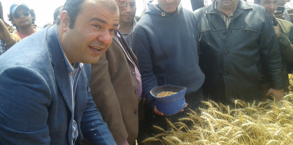 البرلمان المصري يشكل لجنة لتقصي الحقائق بشأن مزاعم فساد في القمح