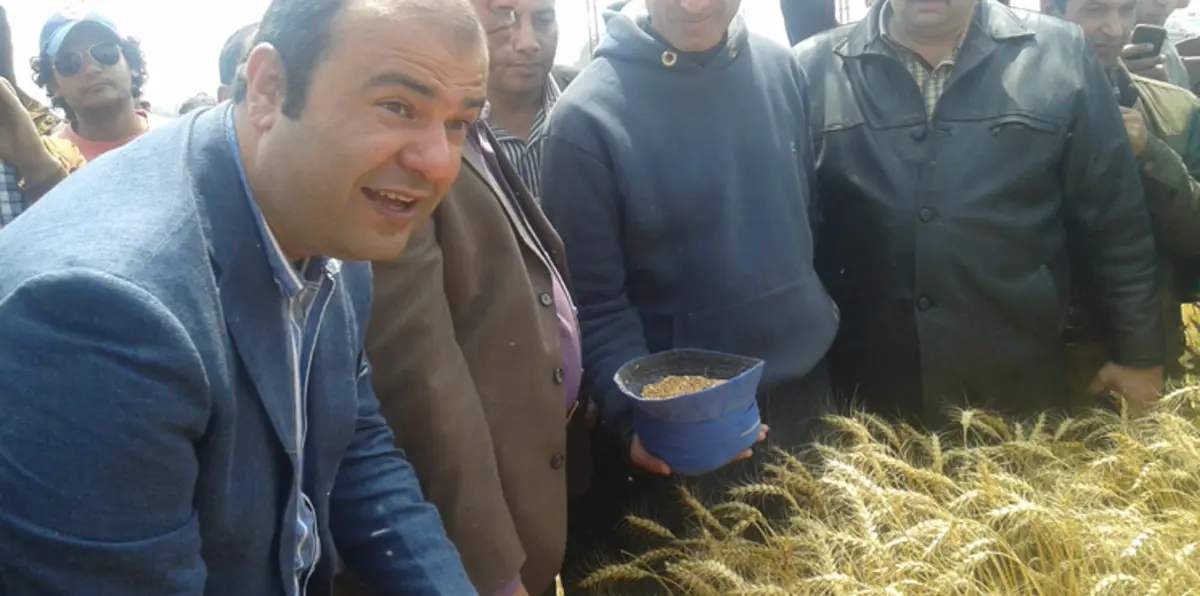 البرلمان المصري يشكل لجنة لتقصي الحقائق بشأن مزاعم فساد في القمح