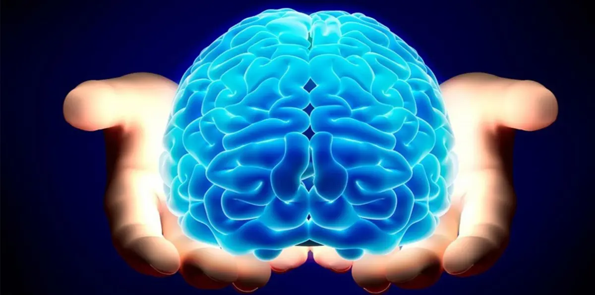 دراسة تكشف كيف تجعل دماغك أكثر شبابًا