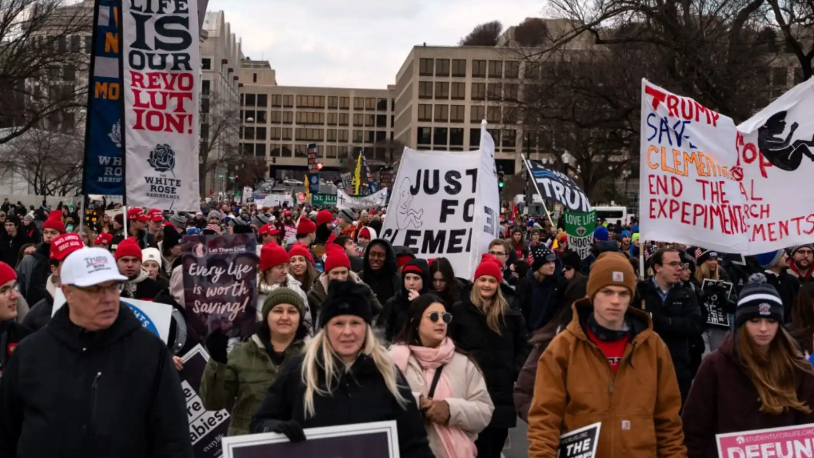 إدارة ترامب توقف تمويل استخدام أنسجة الأجنة في الأبحاث