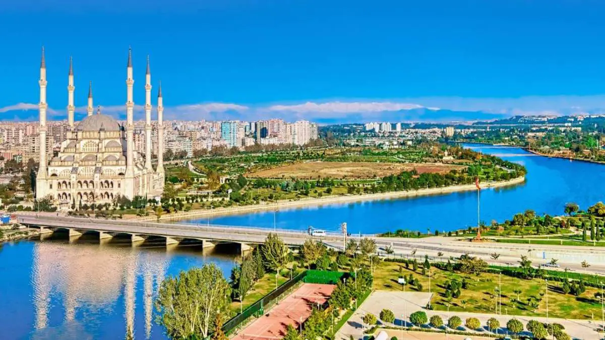 "سفينة نوح".. تركي يصطحب حيواناته المتنوعة أينما ذهب (فيديو)