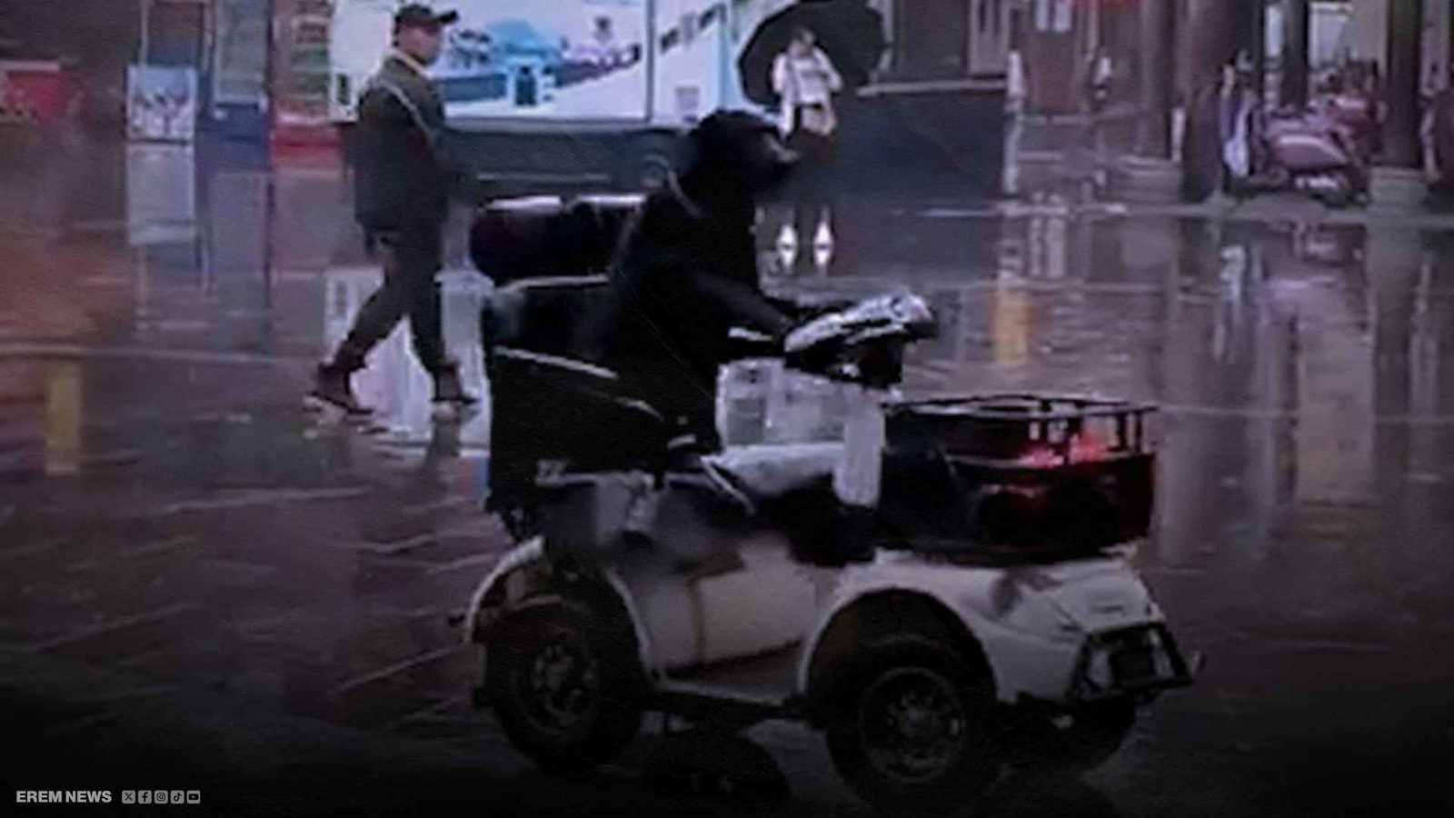 كلب "مشهور" يثير الجدل بعد قيادته "سكوتر" في سيتشوان الصينية