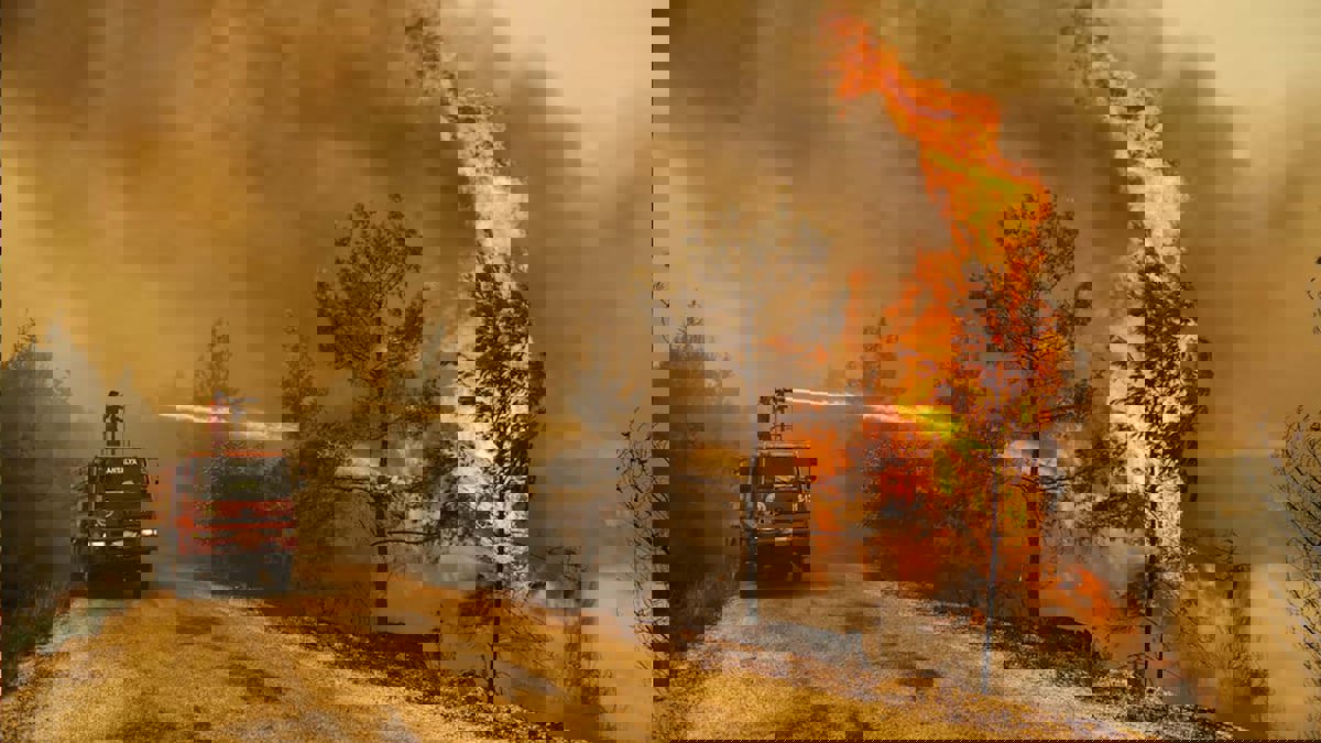 12 قتيلاً إثر حريق غابات ضخم في جنوب شرق تركيا‎